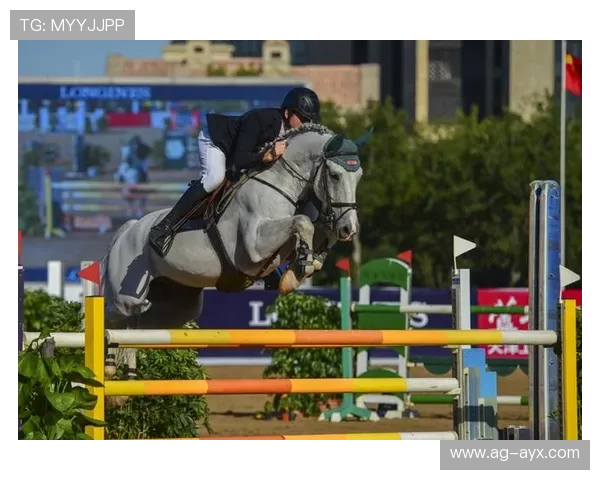 马术障碍赛名将摔下马仍坚强完赛,精神感动观众